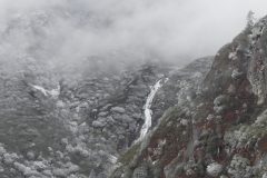 20181114-084744_Sikkim