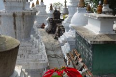 20181119-105508_Sikkim_luc