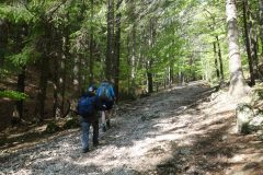 20190502-121217_Roumanie_luc