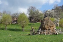 20190503-094137_Roumanie_luc