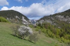 20190504-093531_Roumanie