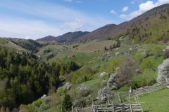 20190504-094105_Roumanie