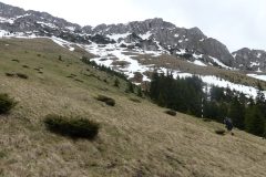 20190506-121416_Roumanie