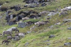 20190715-140434_Norvege