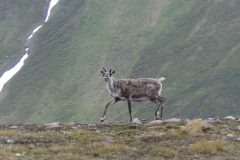 20190715-145413_Norvege