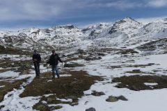 20201020-120500_Alpes