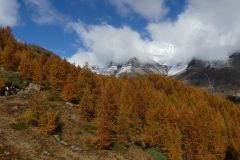 20201024-112141_Alpes