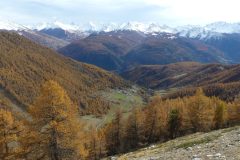 20201029-132542_Alpes