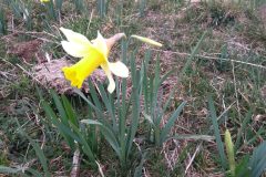 20210307-154007_Aveyron