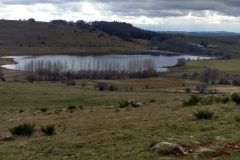 20210307-154730_Aveyron