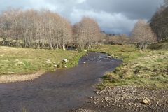 20210307-162812_Aveyron