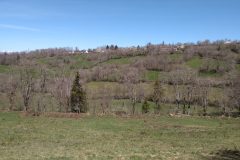 20210408-135543_Aveyron