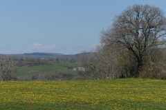 20210424-154752_Aveyron