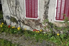 20210424-174704_Aveyron