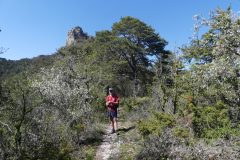 20210508-155534_Diois