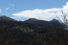 20210512-115732_Diois