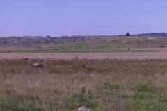 20210811-103258_Aveyron