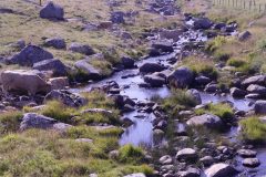 20210811-103958_Aveyron