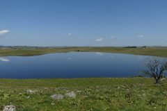 20210811-133255_Aveyron