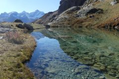 20211017-123352_Chamsaur