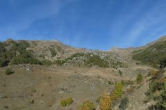 20211019-095730_Chamsaur