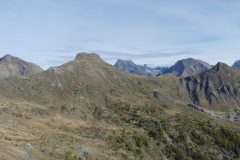 20211019-114358_Chamsaur