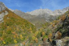 20211020-103001_Chamsaur