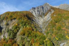 20211020-103011_Chamsaur