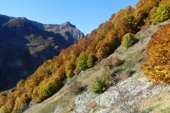 20211023-103602_Chamsaur