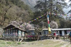 20220409-092833_NuntalaLangtang