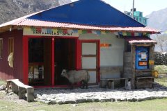 20220411-114311_NuntalaLangtang