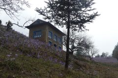 20220329-140314_NuntalaLangtang