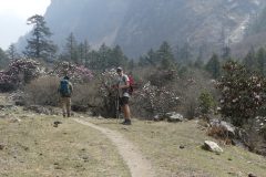 20220409-104553_NuntalaLangtang