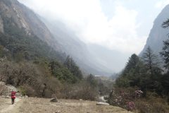 20220409-104903_NuntalaLangtang