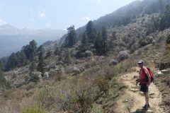 20220413-123646_NuntalaLangtang