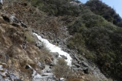 20220415-140413_NuntalaLangtang