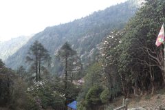 20220416-100217_NuntalaLangtang