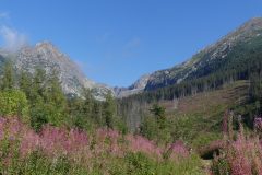 20220830-092331_Slovaquie