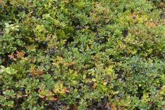 20220831-124840_Slovaquie