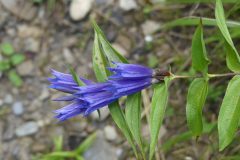 20220901-093830_Slovaquie