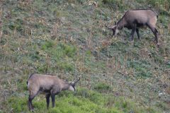 20220901-114217_Slovaquie