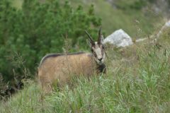 20220901-120110_Slovaquie