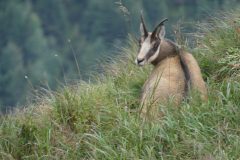 20220901-120119_Slovaquie