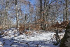 20230315-163320_Aveyron