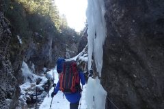 20230409-102815_Padoue