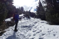 20230409-113128_Padoue