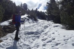 20230409-113134_Padoue