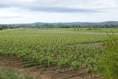 20230507-104946_Canalentre2Mers_Luc