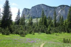 20230629-171025_montenegro_luc