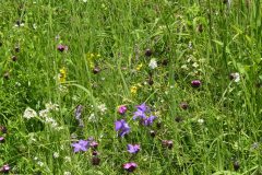 20230630-110548_montenegro